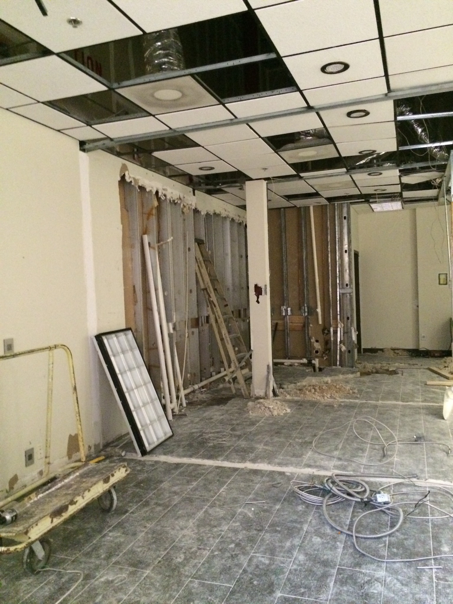 PALMA HIGH-GRADE project gallery photo 17