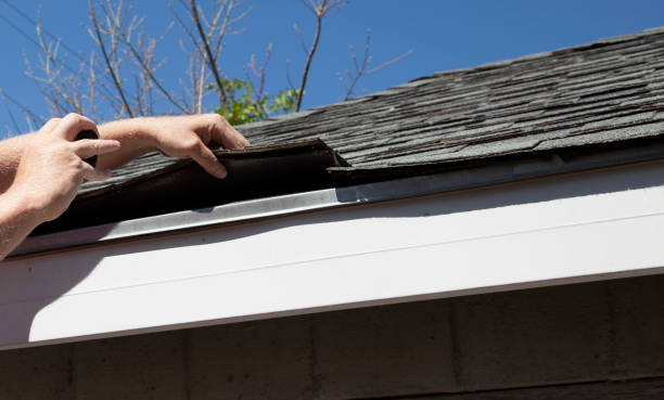 Home Inspector